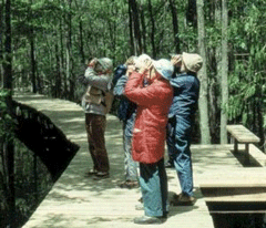 Iroquois Wildlife Refuge